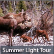 Alaska Summer Light Tour